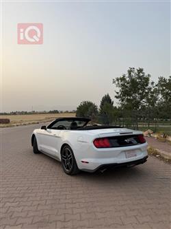 فۆرد مۆستانگ
